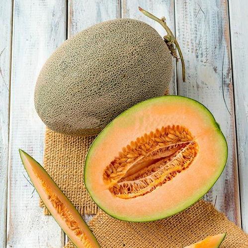 甜瓜爆料炮台视频大全,揭秘热门游戏幕后精彩瞬间