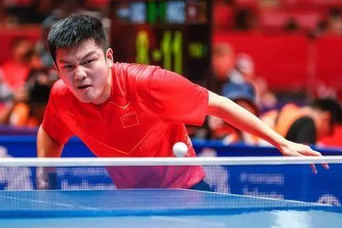 乒乓球员爆料最新消息,球员揭秘赛场幕后真相！”  第3张