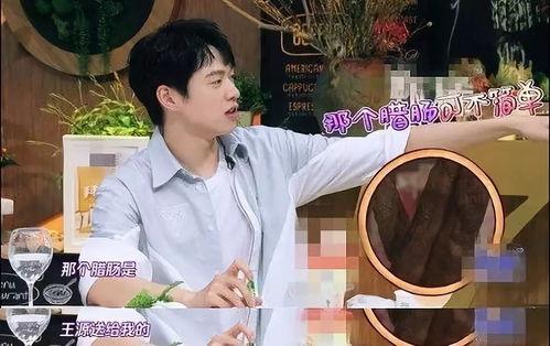 王源黑粉最新爆料视频在线观看,揭秘背后惊人真相 第3张 王源黑粉最新爆料视频在线观看,揭秘背后惊人真相 第3张