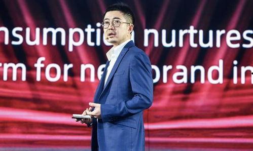 阿里和蒋凡最新爆料视频,揭秘与马云的冲突与真相